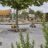 Aare167209 Kopie